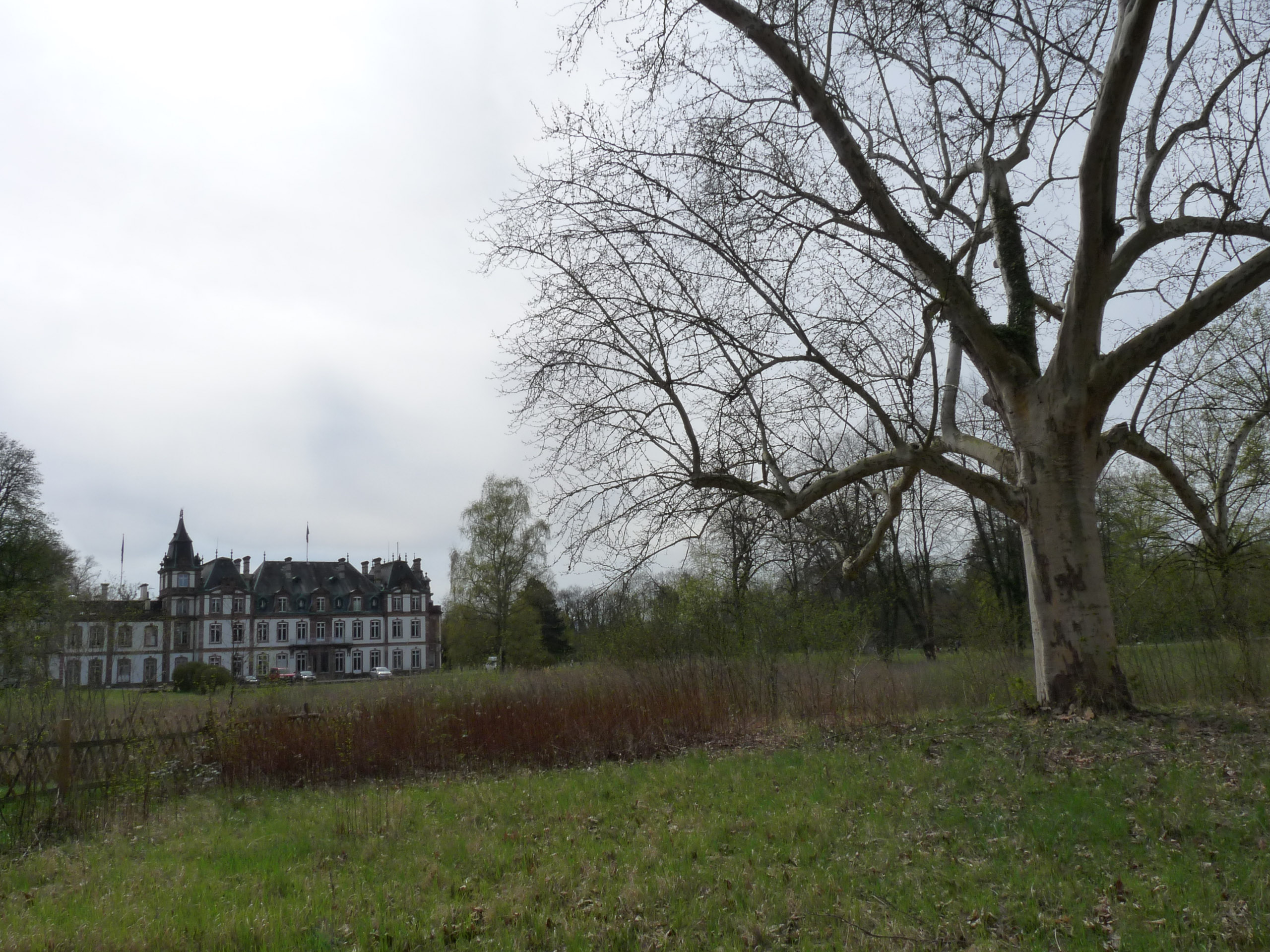 20180414153312 P1110067